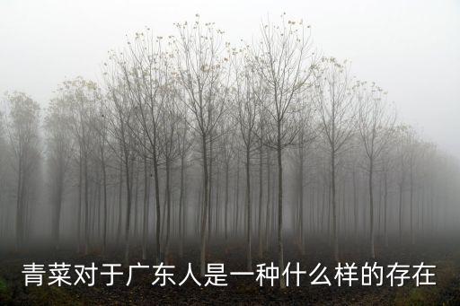 青菜對于廣東人是一種什么樣的存在