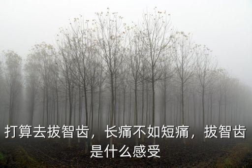 打算去拔智齒，長痛不如短痛，拔智齒是什么感受