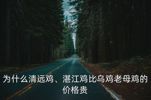 現(xiàn)在市場湛江雞多少一斤,現(xiàn)在土雞價格多少錢一斤