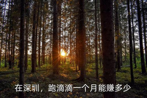 在深圳，跑滴滴一個月能賺多少