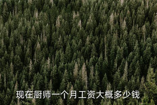 煙臺廚師工資一般多少,煙臺算幾線城市