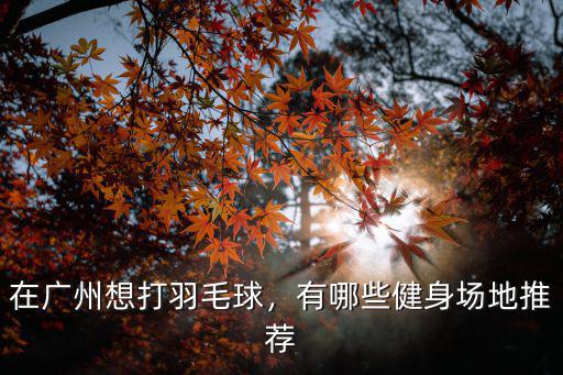 廣州運(yùn)動(dòng)場(chǎng)所在哪里,在廣州想打羽毛球