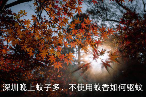 在深圳怎么驅蚊,深圳晚上蚊子多