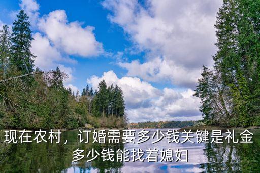 現在農村，訂婚需要多少錢關鍵是禮金多少錢能找著媳婦