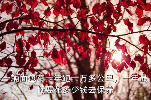 濟南面包拉貨多少錢一公里,一年最低要花多少錢去保養