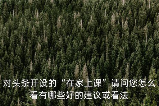 深圳頭條圈怎么開設,怎么建粉絲圈