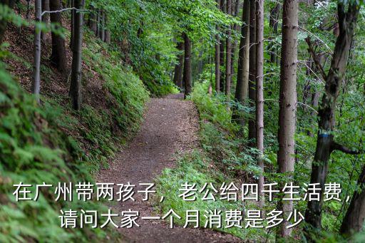 在廣州帶兩孩子，老公給四千生活費，請問大家一個月消費是多少