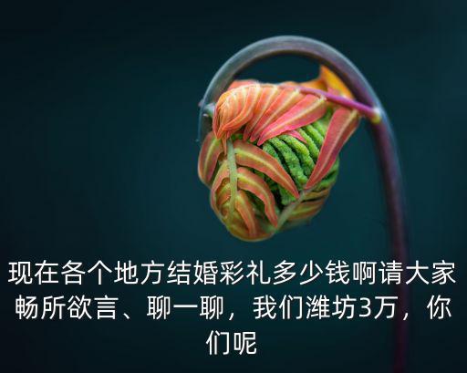 現(xiàn)在各個地方結(jié)婚彩禮多少錢啊請大家暢所欲言、聊一聊，我們?yōu)H坊3萬，你們呢