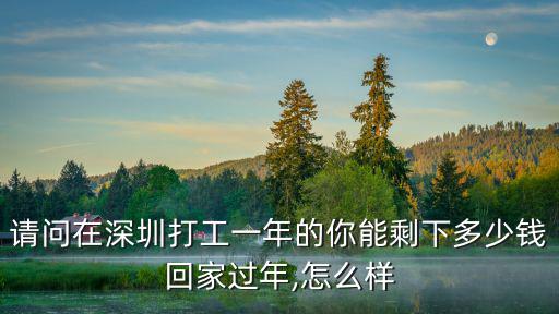 請(qǐng)問(wèn)在深圳打工一年的你能剩下多少錢回家過(guò)年,怎么樣