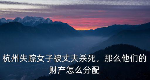 杭州失蹤女有多少財產,杭州女子失蹤18天