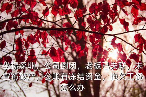 坐標深圳，公司倒閉，老板已失聯，未宣布破產，公賬有凍結資金，拖欠工資怎么辦