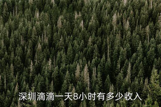 深圳滴滴一天8小時有多少收入