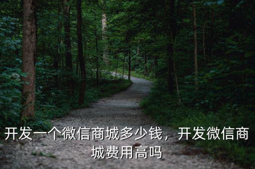 開發一個微信商城多少錢，開發微信商城費用高嗎