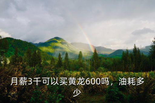 月薪3千可以買黃龍600嗎，油耗多少