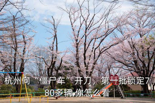 杭州僵尸車停車多少錢,車主杭州停車564天沒動