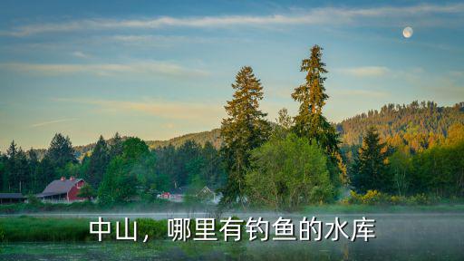 中山古鎮哪里釣魚比較合適,哪里有釣魚的水庫
