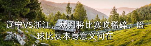 遼寧浙江比賽多少個(gè)犯規(guī),遼寧再勝浙江廣廈