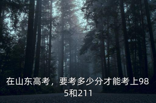 在山東高考，要考多少分才能考上985和211