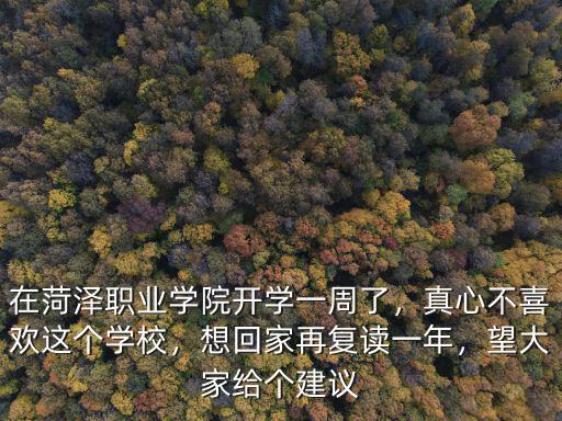 菏澤職業學院食堂提點多少,菏澤職業學院怎么樣