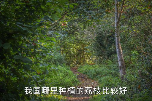荔枝廣東哪里的好,廣東省內哪里的荔枝最好吃