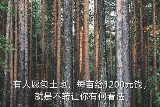 淄博土地轉讓多少錢一畝,有人愿包土地