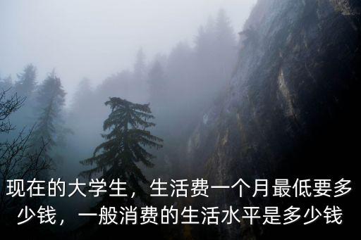 舟山大學生一個月多少錢,一個月給多少錢