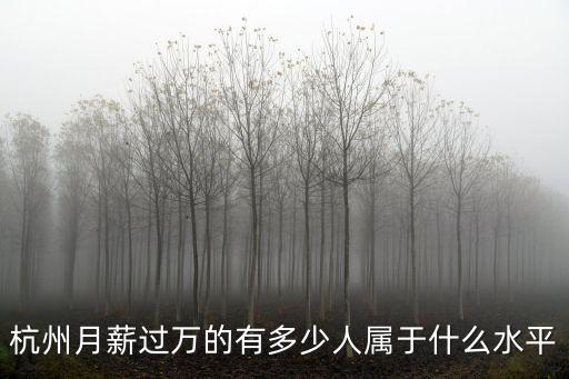 杭州月薪過萬的有多少人屬于什么水平