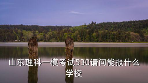 山東理科一?？荚?30請問能報什么學校