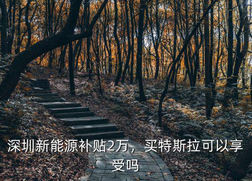 深圳新能源補貼2萬，買特斯拉可以享受嗎