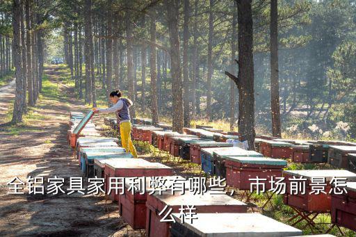 在深圳開(kāi)家全鋁家具專賣店怎么樣,全鋁家具家用利弊有哪些