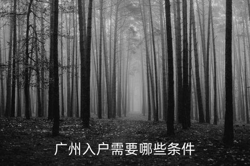 廣州入戶需要哪些條件