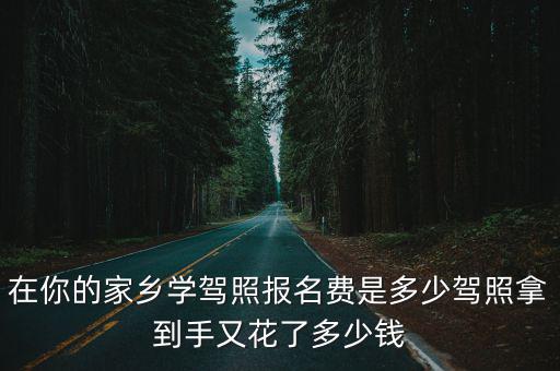 麗水學駕照多少錢,大家學完駕照多少錢