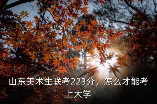 山東考多少分考上美術大學,山東美術統考229分