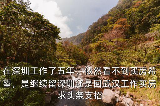 在深圳工作了五年，依然看不到買房希望，是繼續留深圳還是回武漢工作買房求頭條支招