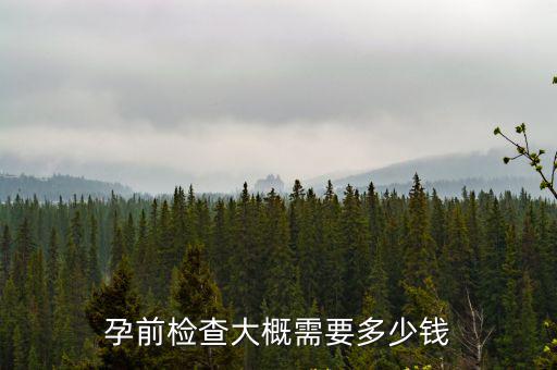 孕前檢查大概需要多少錢