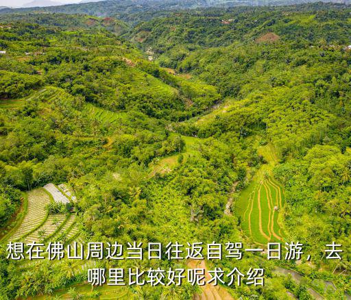 想在佛山周邊當日往返自駕一日游，去哪里比較好呢求介紹