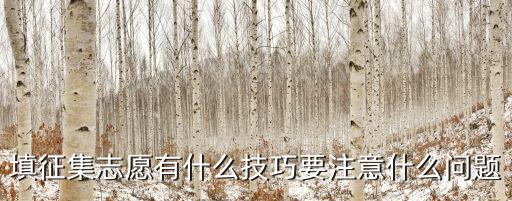 填征集志愿有什么技巧要注意什么問題