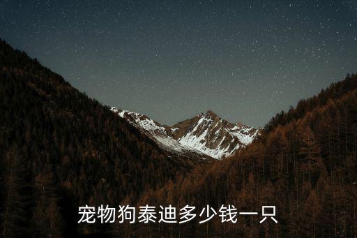 寵物狗泰迪多少錢一只