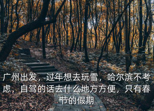 過年去廣州哪里看雪,過年想去玩雪