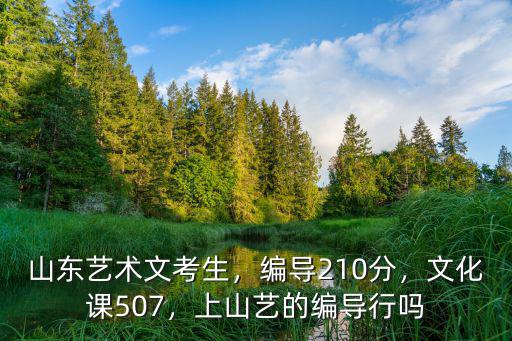 山東編導(dǎo)文化課多少分上211,編導(dǎo)210分