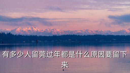 有多少人留莞過年都是什么原因要留下來