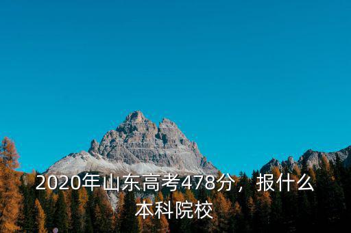 2020年山東高考478分，報什么本科院校