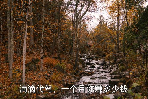 青島晚上代駕一個月賺多少,一個月究竟能賺多少錢
