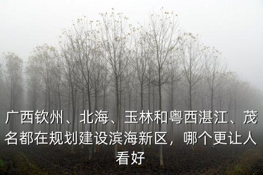 廣西欽州、北海、玉林和粵西湛江、茂名都在規劃建設濱海新區，哪個更讓人看好