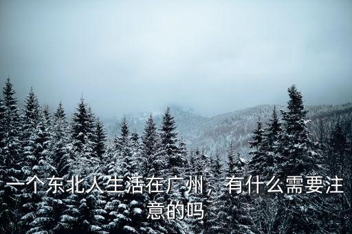 在廣州生活的人怎么樣,一個東北人生活在廣州