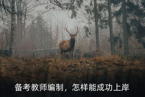 山東教師編上岸要考多少分,濟南教師編上岸的大神們