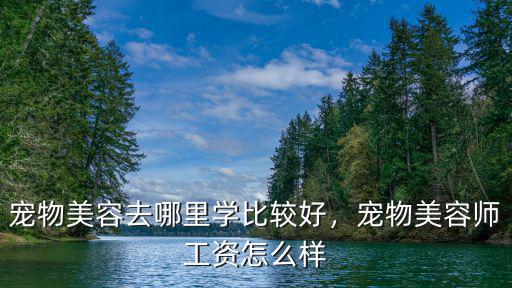 珠海哪里可以學寵物美容師,寵物美容去哪里學比較好