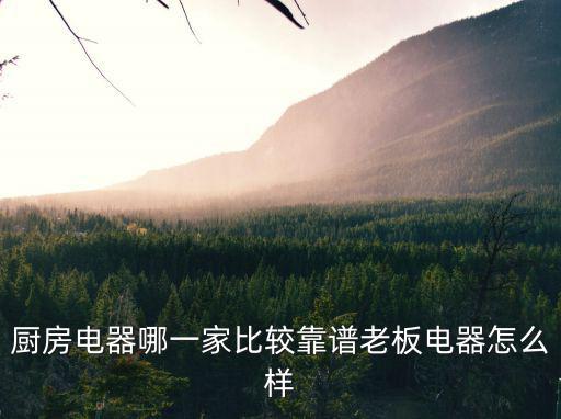 廣東值老板電器怎么樣,老板電器怎么樣