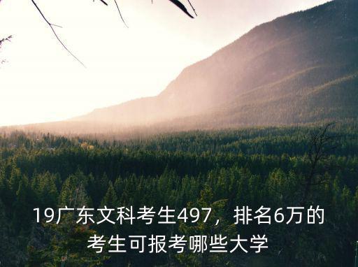 廣東有多少文科考生2019,19廣東文科考生497