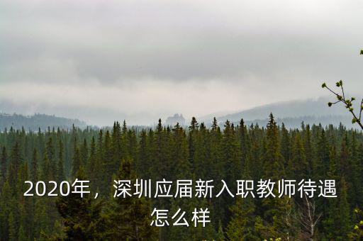 2020年，深圳應屆新入職教師待遇怎么樣